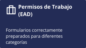 Card Servicios 3